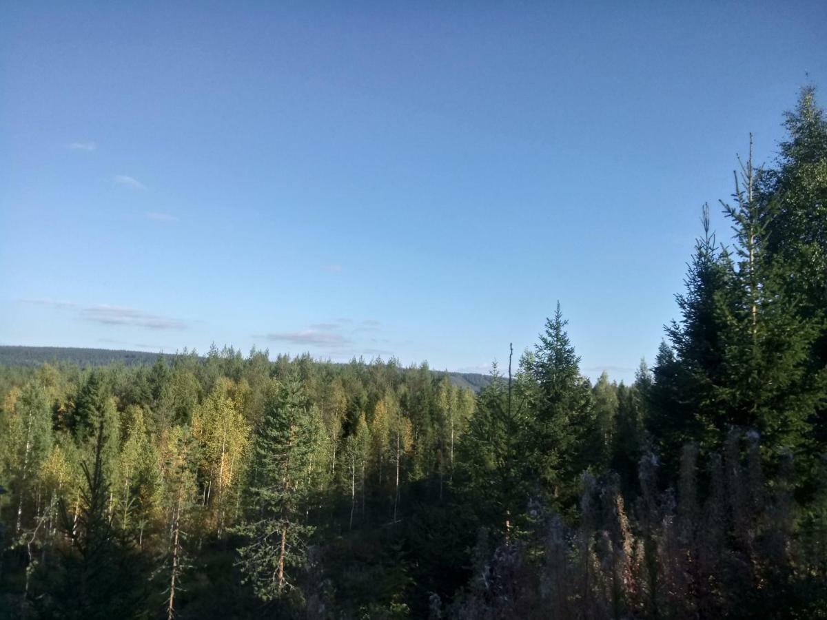 Metsorinne Kotila Buitenkant foto