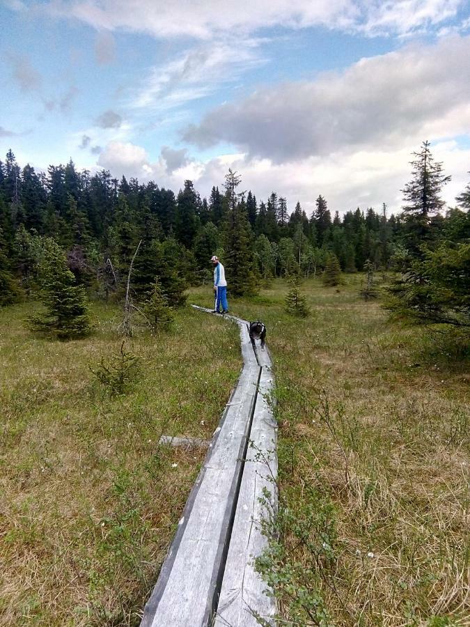 Metsorinne Kotila Buitenkant foto