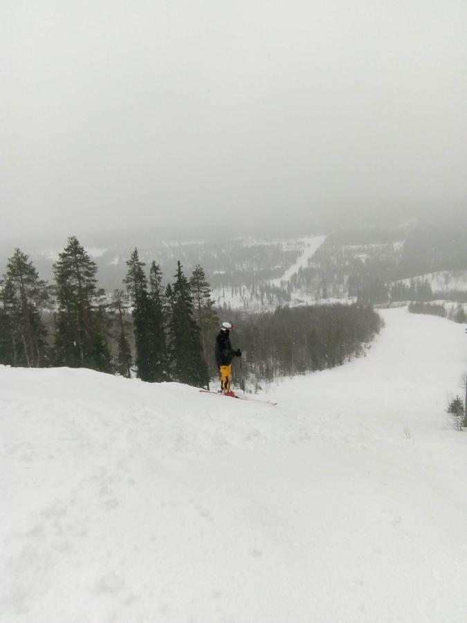 Metsorinne Kotila Buitenkant foto