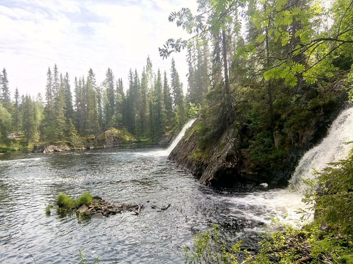 Metsorinne Kotila Buitenkant foto