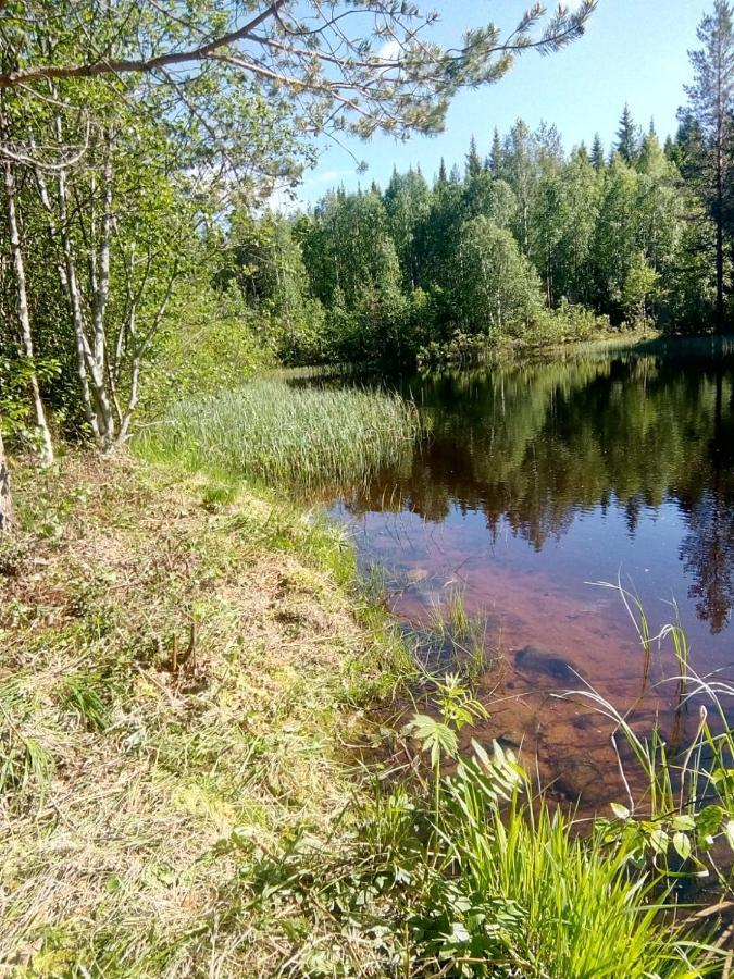Metsorinne Kotila Buitenkant foto